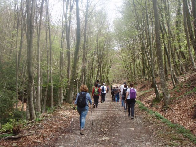 Excursión bautizo Nordic Walking de 2 horas